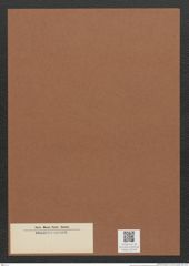 Diatomeae indet. Zeichnungen Sammlung Grunow Mappe 02749 (Herbarium_W_Grunow_drawings_Folder_02749)